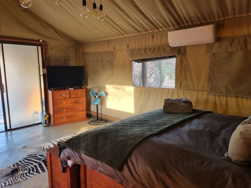 Cut above the rest, amazingly clean and up to date Guest house with 2 fenced tented camps with poolon offer in Dinokeng Big 5 reserves  - Photo 8