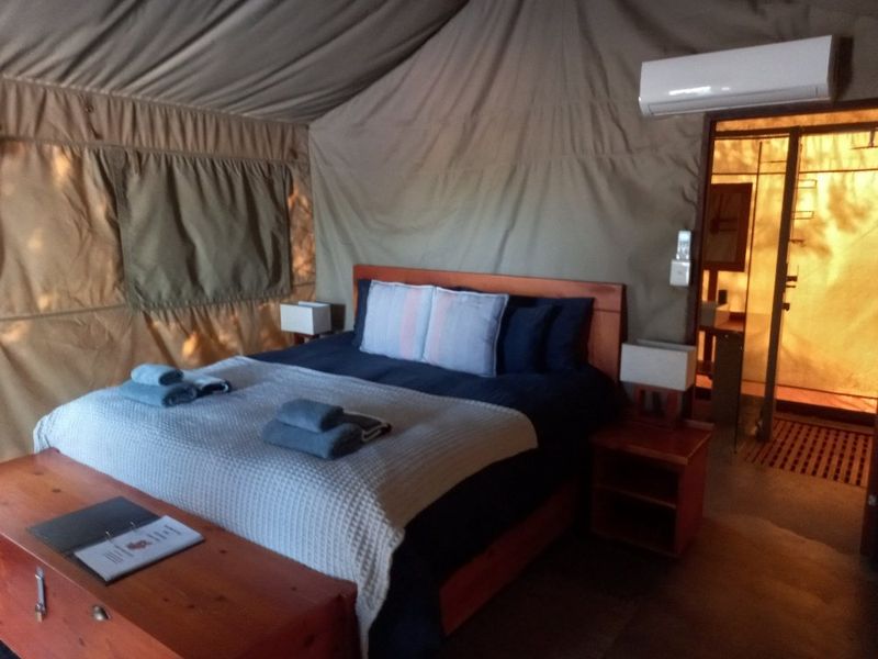 Cut above the rest, amazingly clean and up to date Guest house with 2 fenced tented camps with poolon offer in Dinokeng Big 5 reserves  - Photo 9