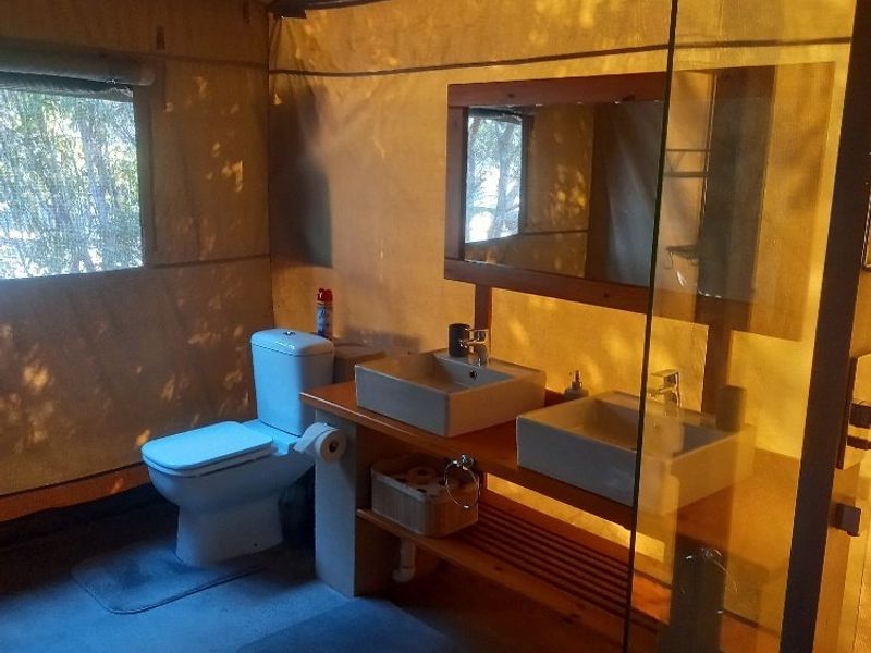 Cut above the rest, amazingly clean and up to date Guest house with 2 fenced tented camps with poolon offer in Dinokeng Big 5 reserves  - Photo 7