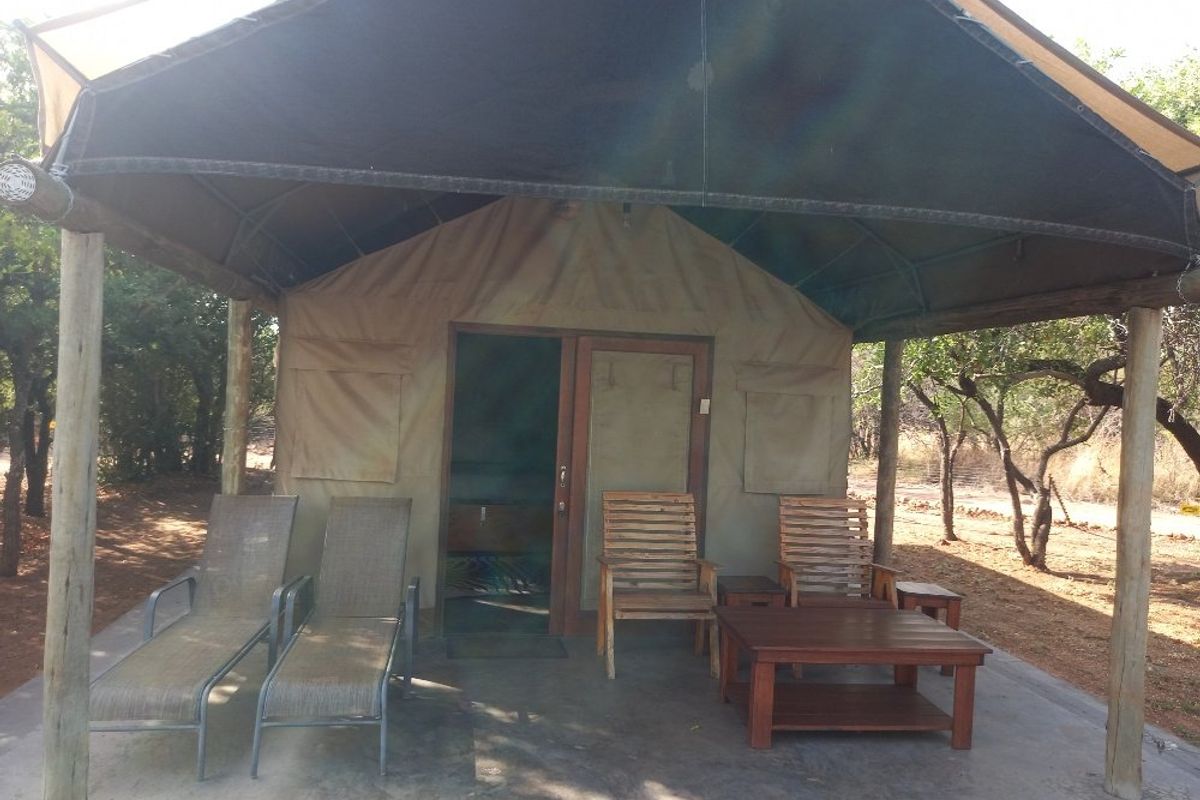 Cut above the rest, amazingly clean and up to date Guest house with 2 fenced tented camps with poolon offer in Dinokeng Big 5 reserves  - Photo 3