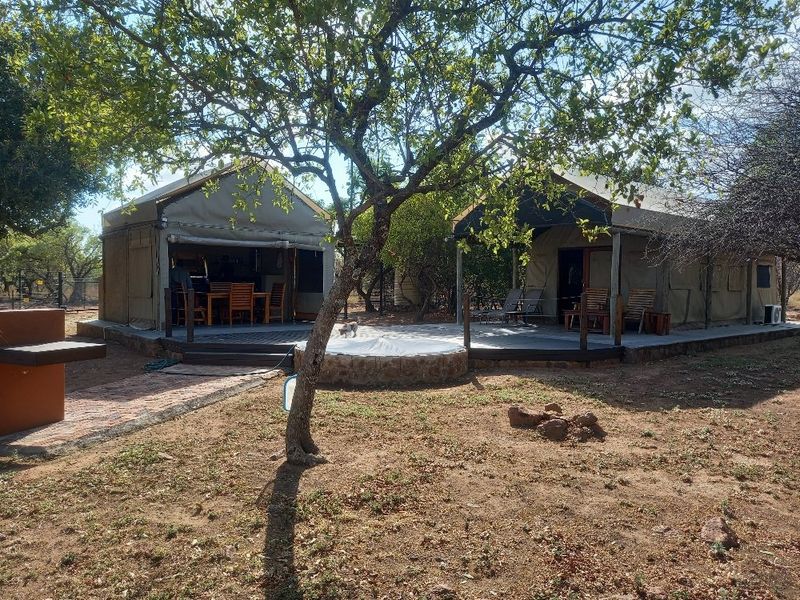 Cut above the rest, amazingly clean and up to date Guest house with 2 fenced tented camps with poolon offer in Dinokeng Big 5 reserves  - Photo 4