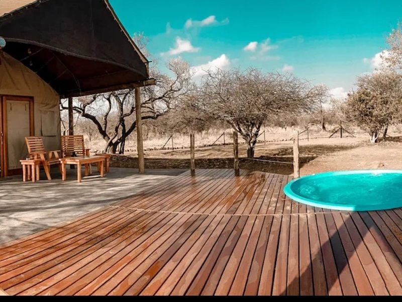 Cut above the rest, amazingly clean and up to date Guest house with 2 fenced tented camps with poolon offer in Dinokeng Big 5 reserves  - Photo 2