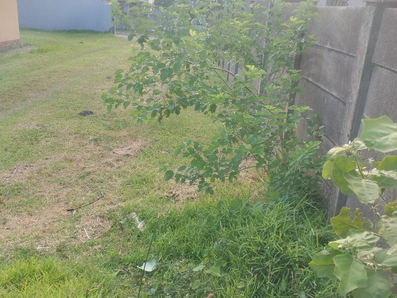 Vacant land for sale in Esikhawini township. - Photo 4