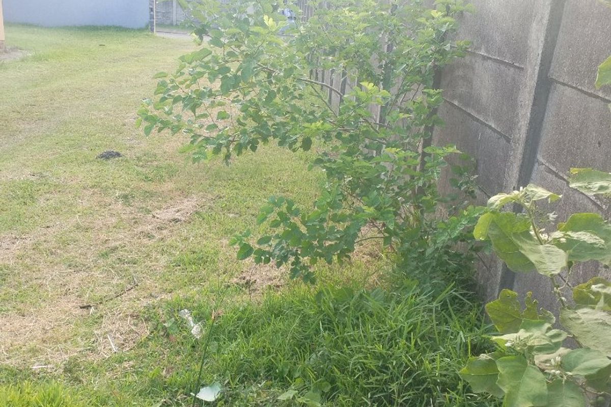 Vacant land for sale in Esikhawini township. - Photo 3