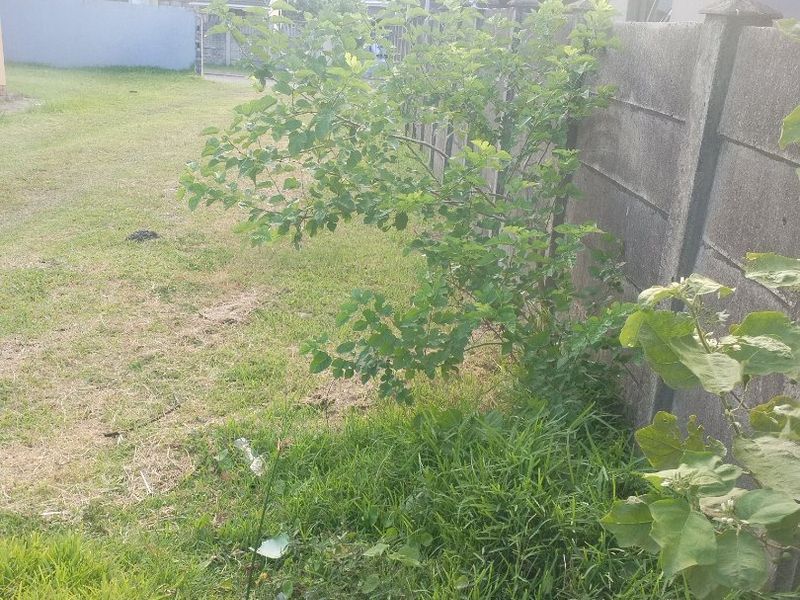 Vacant land for sale in Esikhawini township. - Photo 3