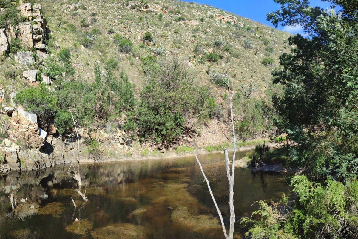 Pristine hideaway - Photo 5