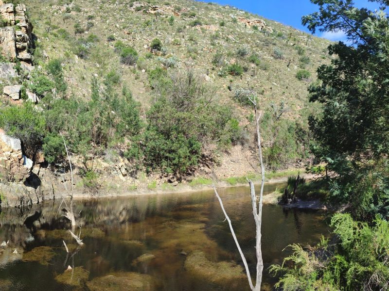 Pristine hideaway - Photo 5