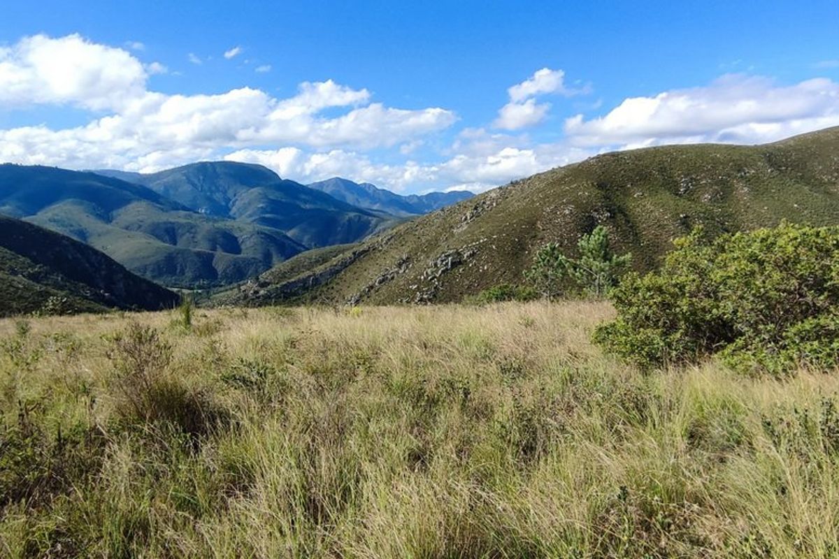 Pristine hideaway - Photo 2