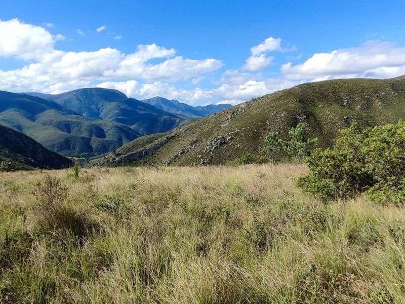 Pristine hideaway - Photo 2