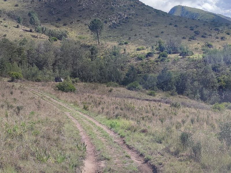 Pristine hideaway - Photo 10