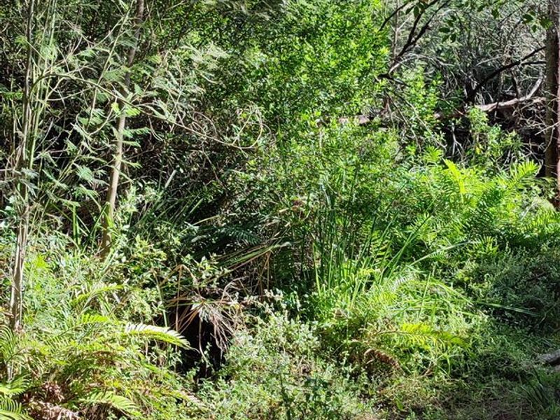 Pristine hideaway - Photo 8