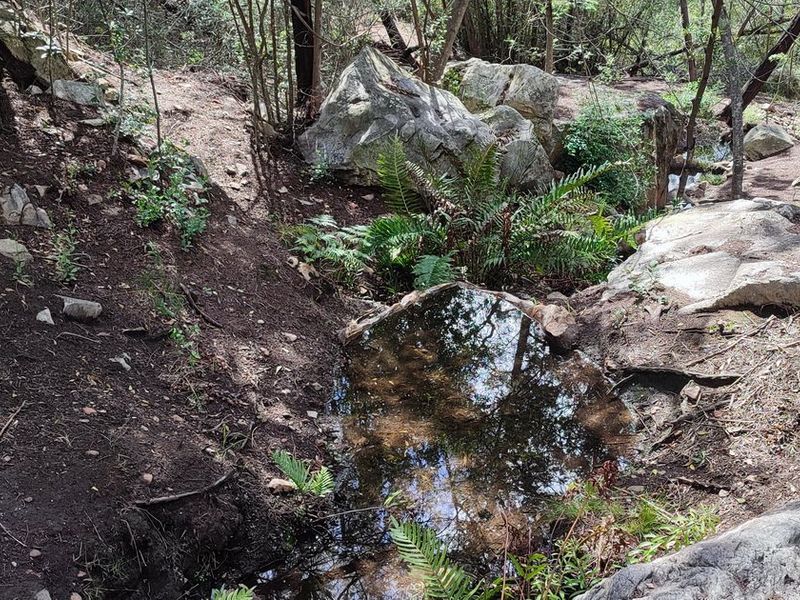 Pristine hideaway - Photo 7