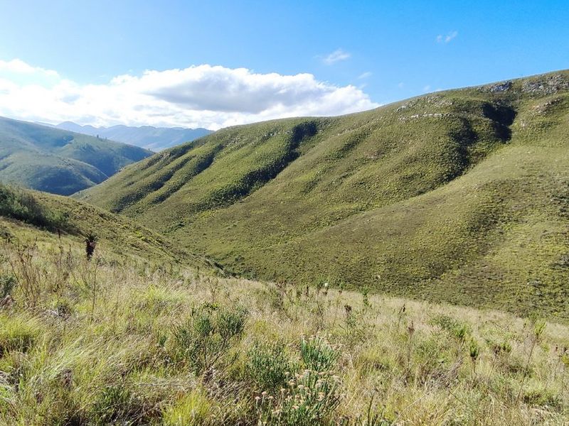 Pristine hideaway - Photo 5