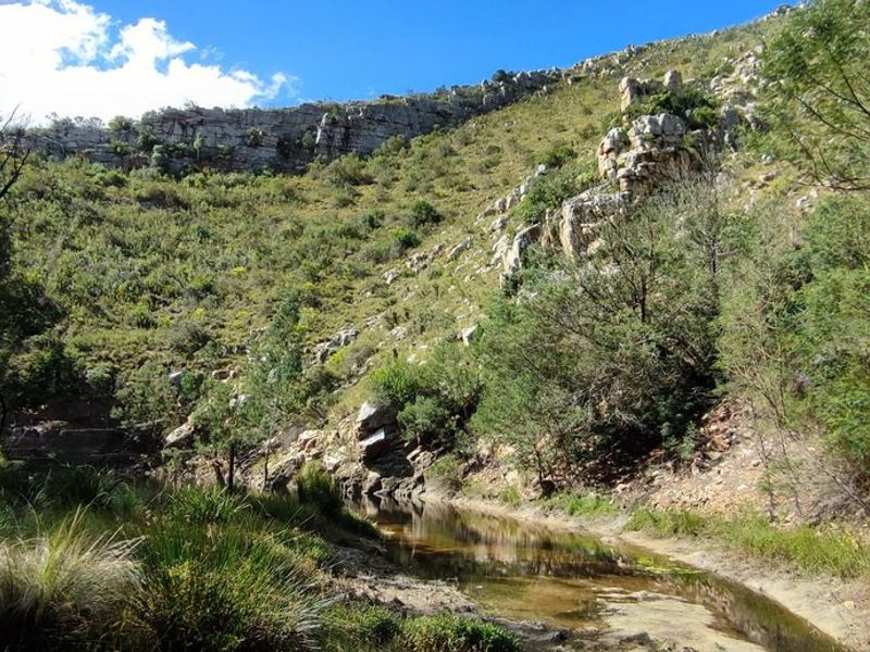 A scenic view of a natural stream flowing through a rocky, mountainous landscape with native vegetation.
