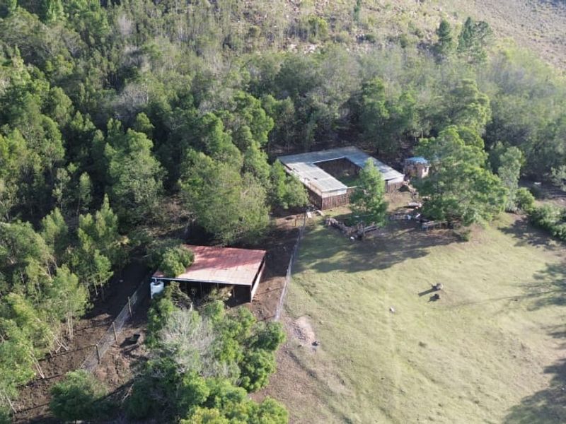Aerial view of a rural farm property featuring multiple outbuildings with corrugated metal roofs, surrounded by dense forest and open grazing land.