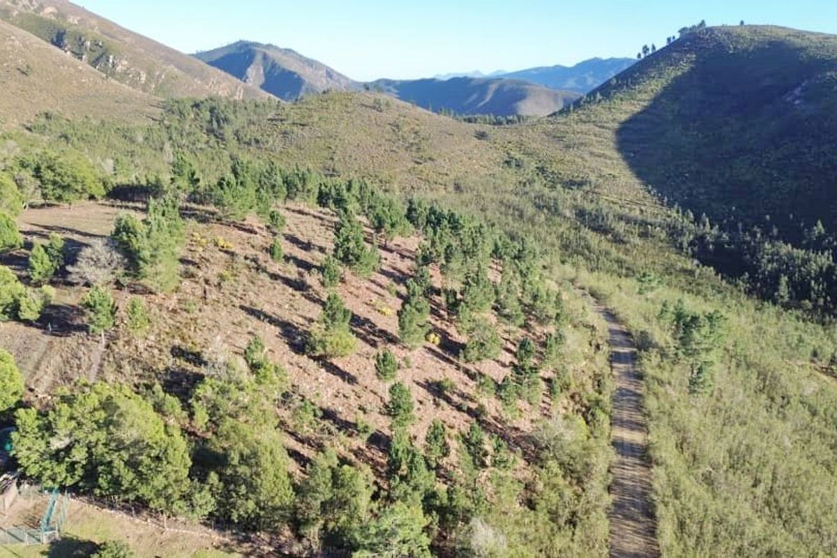 An aerial view of the expansive farm landscape featuring rolling hills, natural vegetation, and a dirt access road.