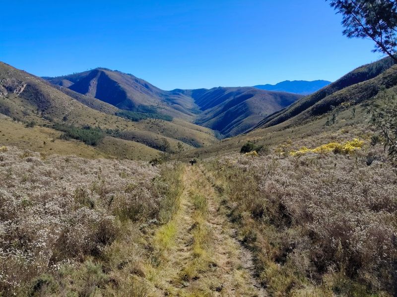 A scenic landscape view showcasing the expansive natural terrain and rolling mountains surrounding the property.