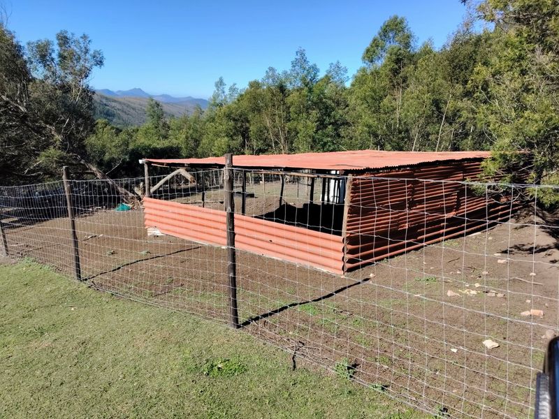 A basic outdoor utility structure or animal enclosure featuring corrugated iron walls and roof, enclosed by wire mesh fencing on a rural property.