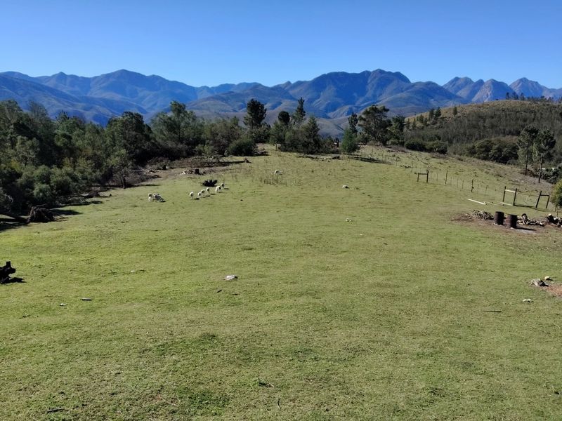 Expansive open pasture land on a farm setting, featuring wire fencing and scenic mountain views in the background.