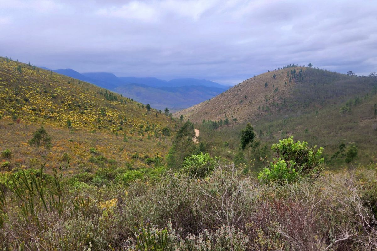 Stunning mountain and valley farm near De Vlugt  - Photo 2