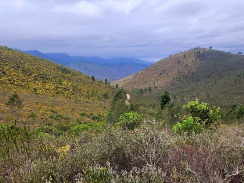 Stunning mountain and valley farm near De Vlugt  - Photo 2