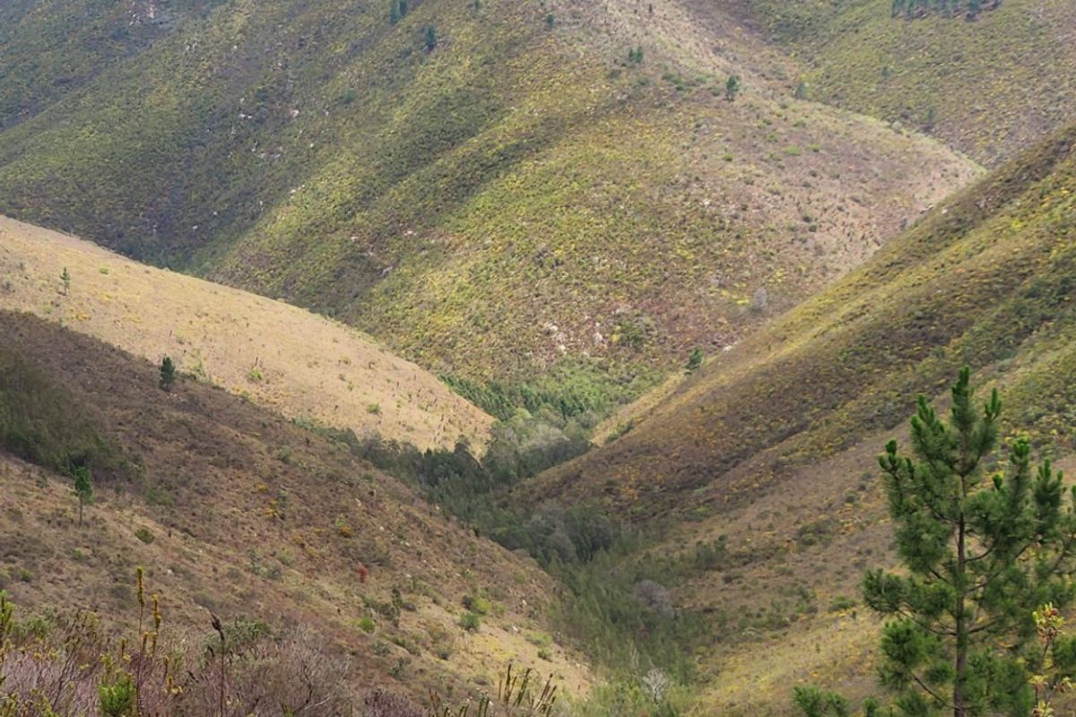 Stunning mountain and valley farm near De Vlugt  - Photo 3