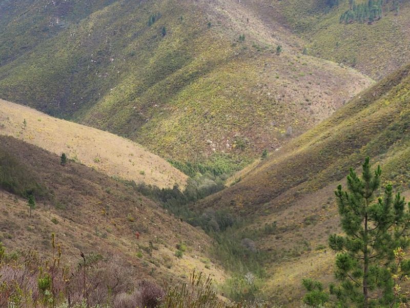 Stunning mountain and valley farm near De Vlugt  - Photo 3