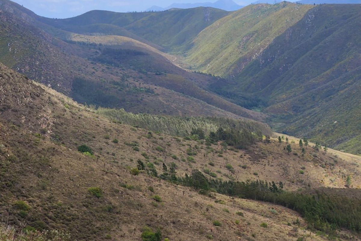 Stunning mountain and valley farm near De Vlugt  - Photo 4