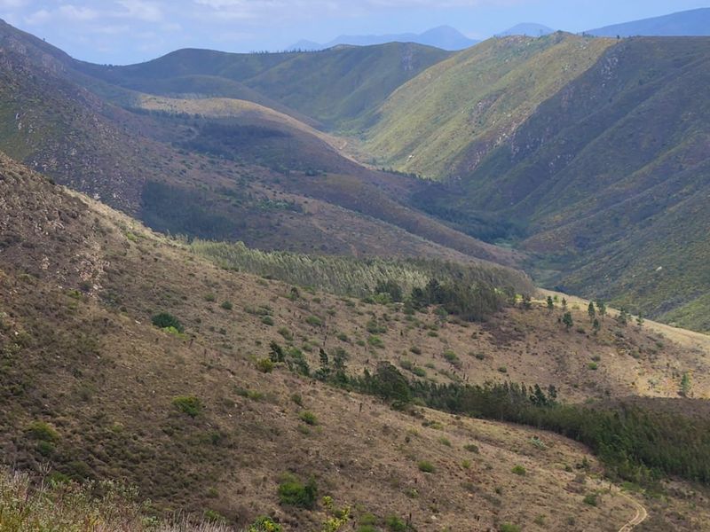 Stunning mountain and valley farm near De Vlugt  - Photo 4