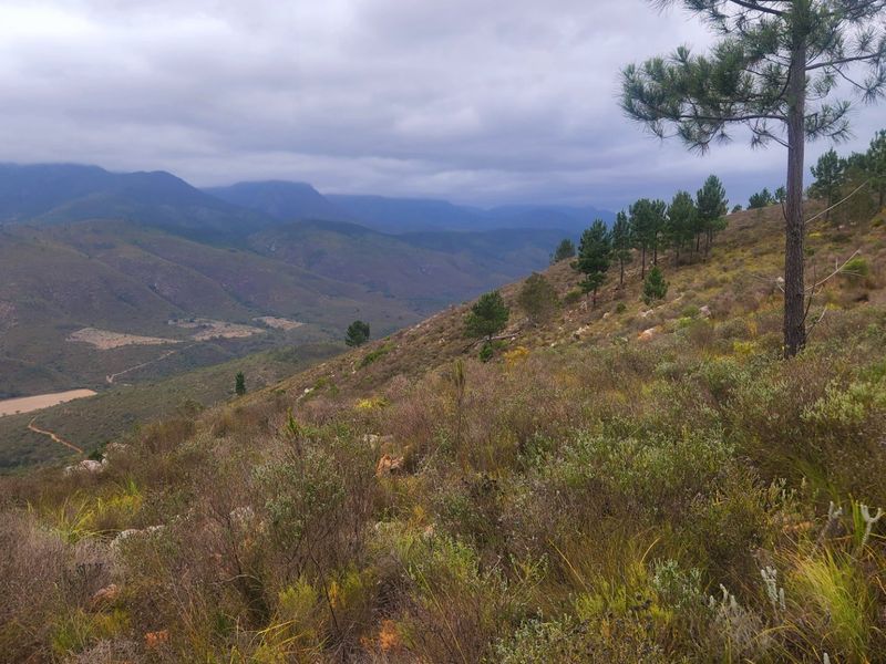 Stunning mountain and valley farm near De Vlugt  - Photo 9