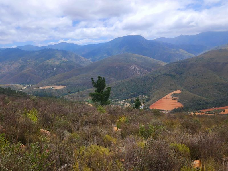 Stunning mountain and valley farm near De Vlugt  - Photo 7