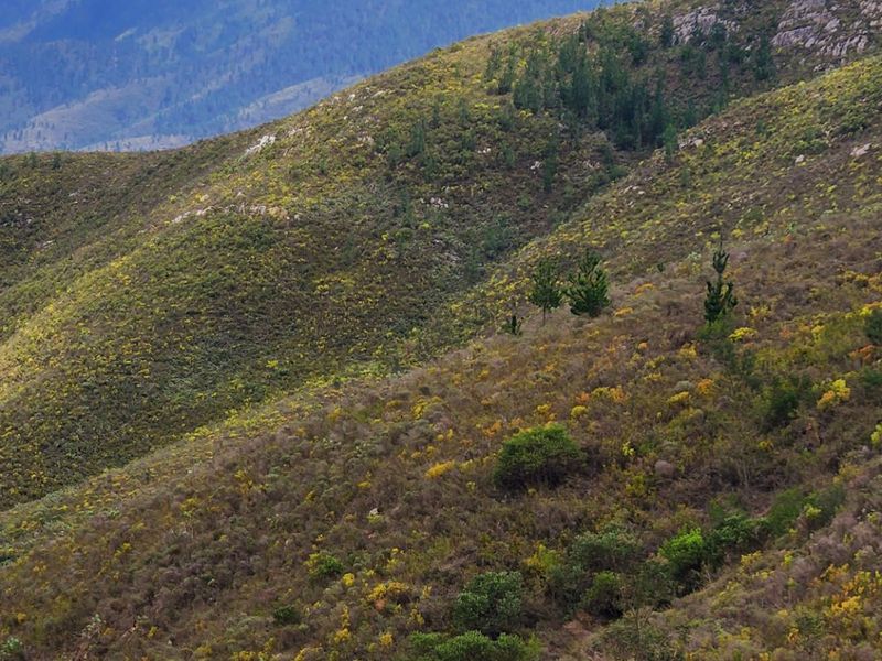 Stunning mountain and valley farm near De Vlugt  - Photo 5
