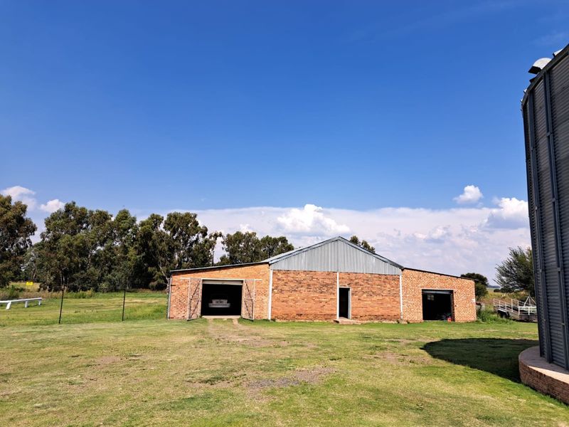 Unique business opportunity  in HO sunflower oil - Photo 4