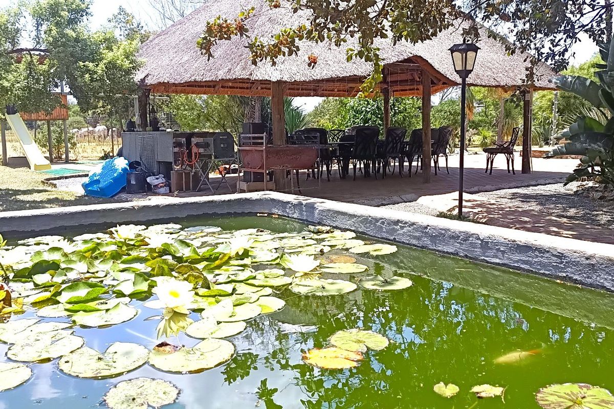 21ha Off-Grid Farm with Multiple Homes & Farming Infrastructure - Photo 5