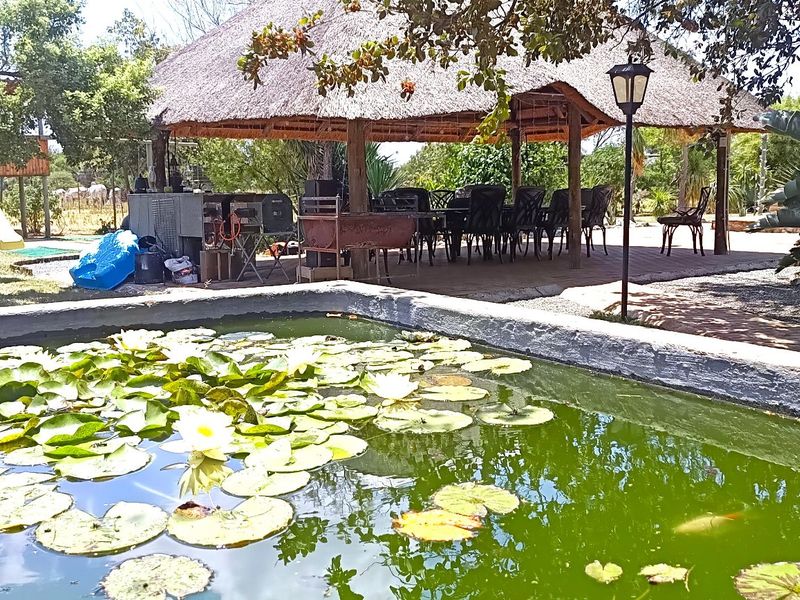 21ha Off-Grid Farm with Multiple Homes & Farming Infrastructure - Photo 5