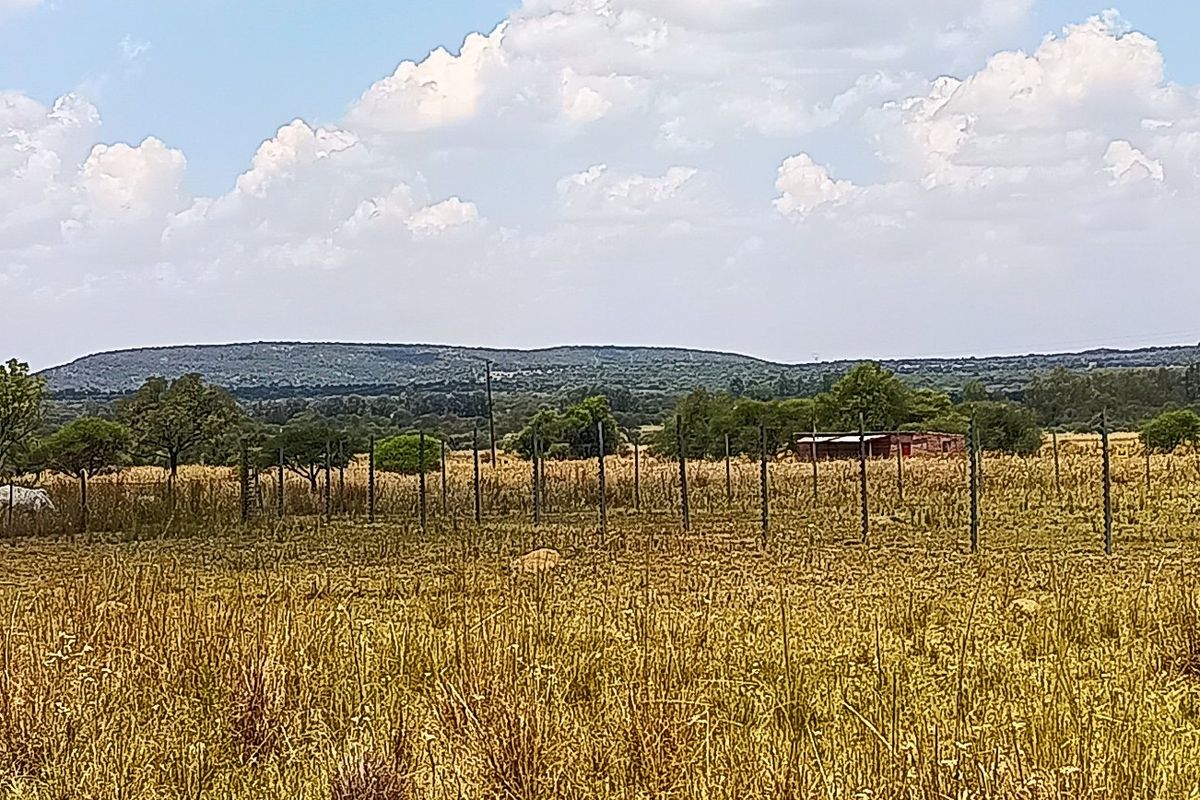 21ha Off-Grid Farm with Multiple Homes & Farming Infrastructure - Photo 3