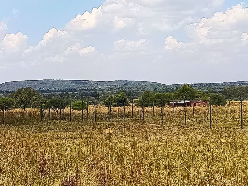 21ha Off-Grid Farm with Multiple Homes & Farming Infrastructure - Photo 3