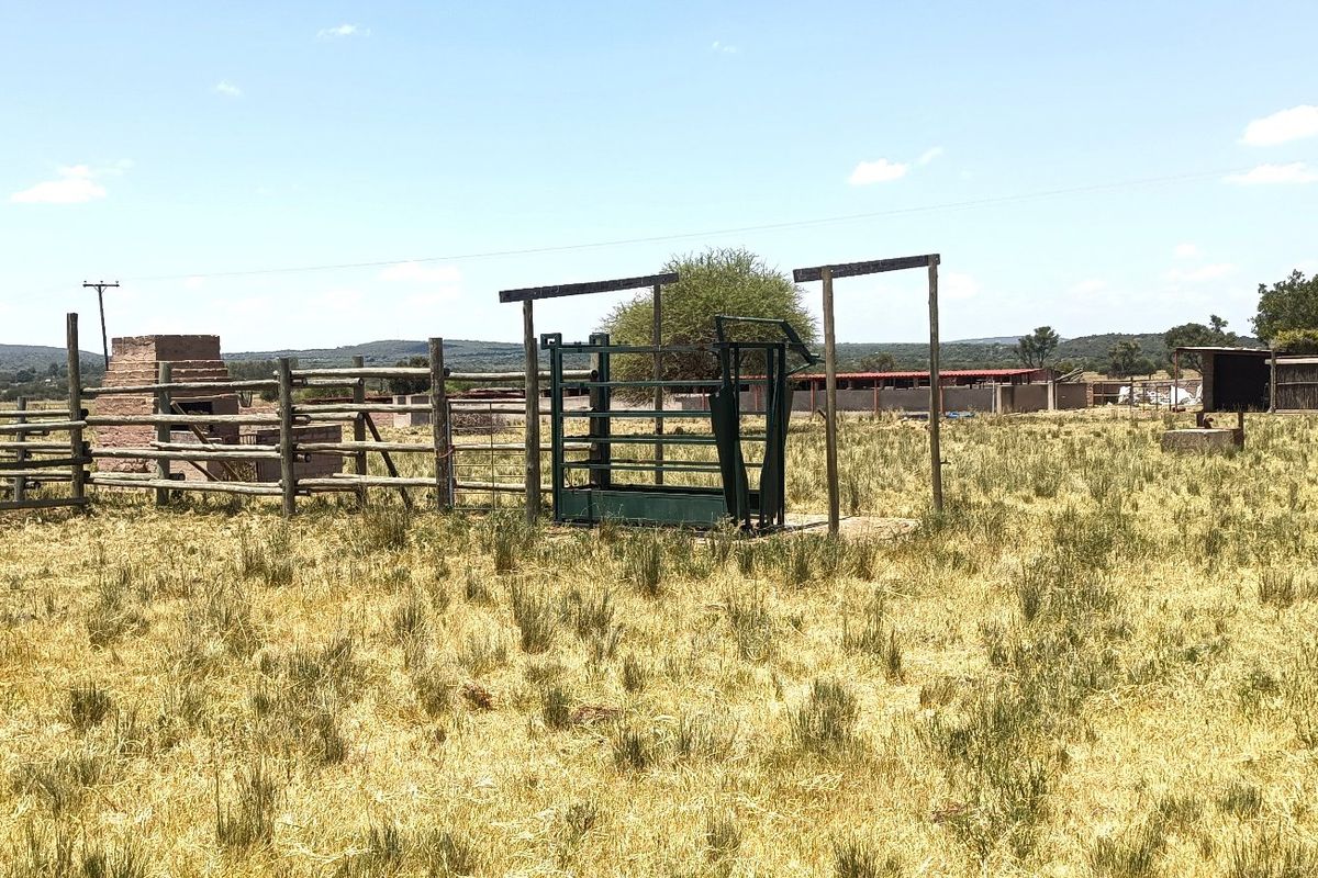 Outdoor livestock handling area featuring a cattle crush, timber fencing, and a brick braai structure on a rural farm property.