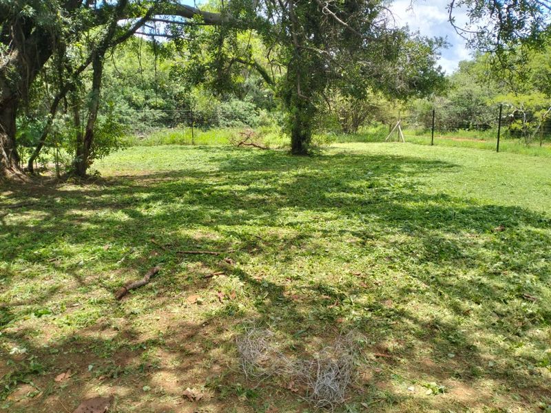 A spacious, cleared garden area on the farm property featuring mature trees and perimeter wire fencing.