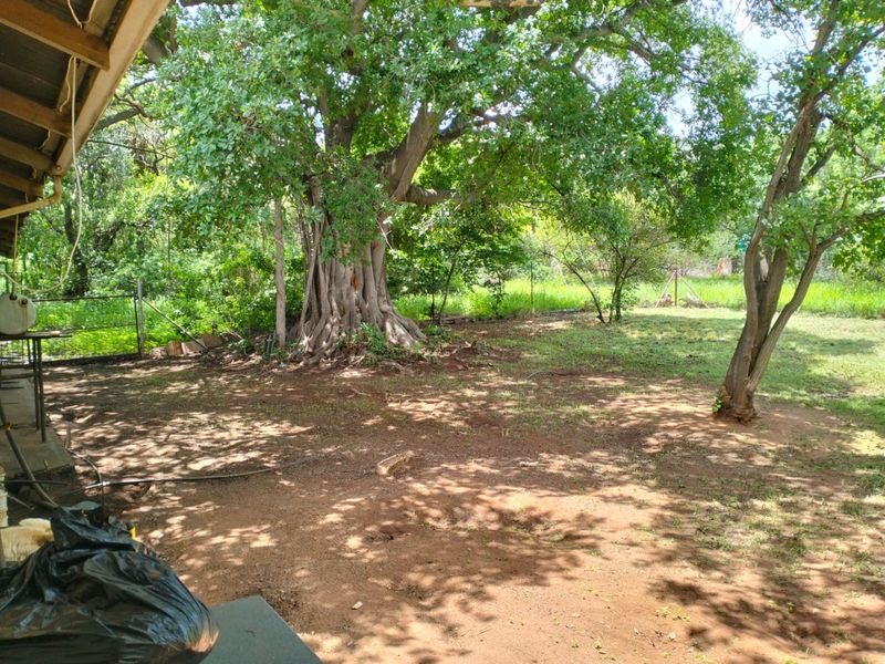 A spacious farm garden featuring mature trees, natural ground cover, and perimeter wire fencing, viewed from a covered patio area.