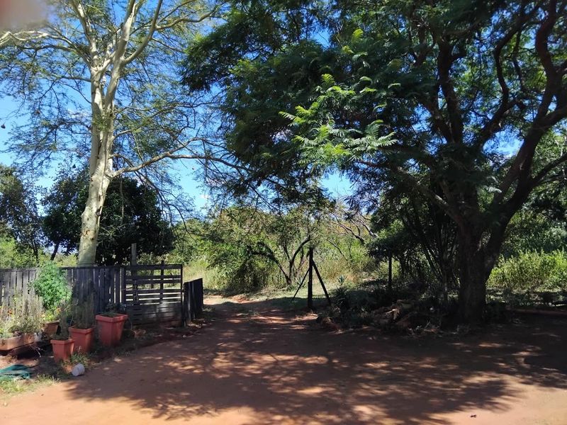 A natural garden area on the farm featuring mature trees, a dirt driveway, and a wooden boundary fence.