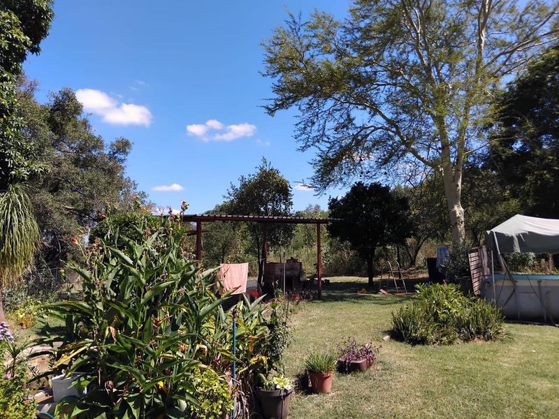 A spacious farm garden featuring a lawn, mature trees, and a covered outdoor braai area, providing a functional space for outdoor living.