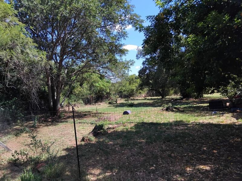 A large, natural garden area featuring mature trees and wire mesh perimeter fencing, offering a rustic outdoor space on the farm property.
