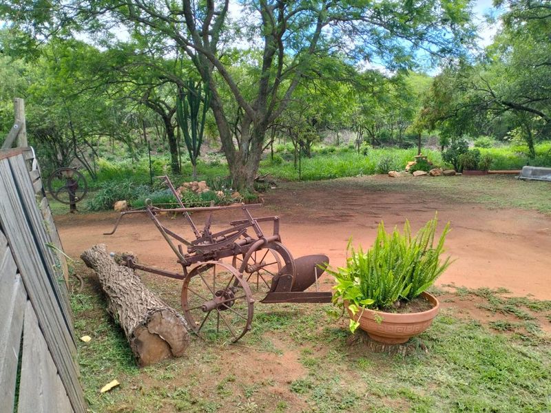 A spacious, natural garden area featuring mature trees, a rustic wooden fence, and open grounds on a farm property.