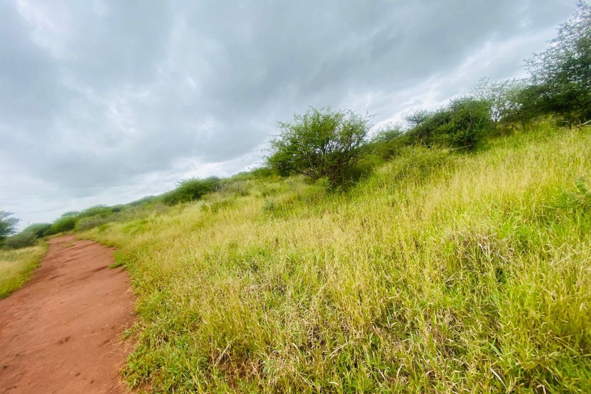 A view of the expansive farm landscape featuring a natural dirt track winding through open grassland and native vegetation under a cloudy sky.