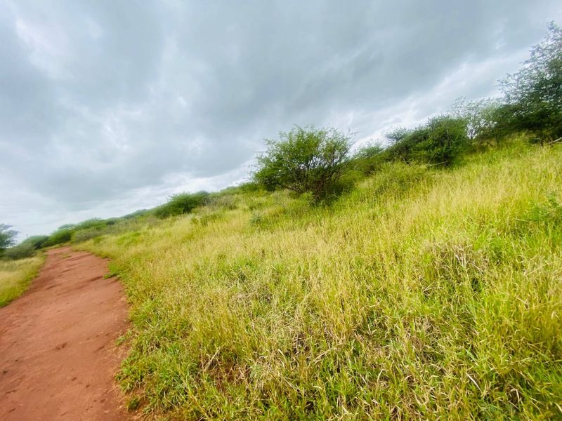 A view of the expansive farm landscape featuring a natural dirt track winding through open grassland and native vegetation under a cloudy sky.