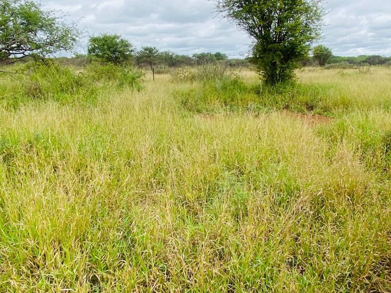 An expansive view of the natural farm landscape featuring open grassland and scattered indigenous trees under a cloudy sky.