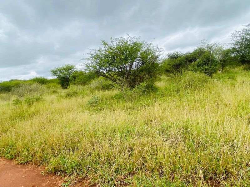 A view of the open farm landscape featuring natural vegetation and grassy terrain under a cloudy sky.
