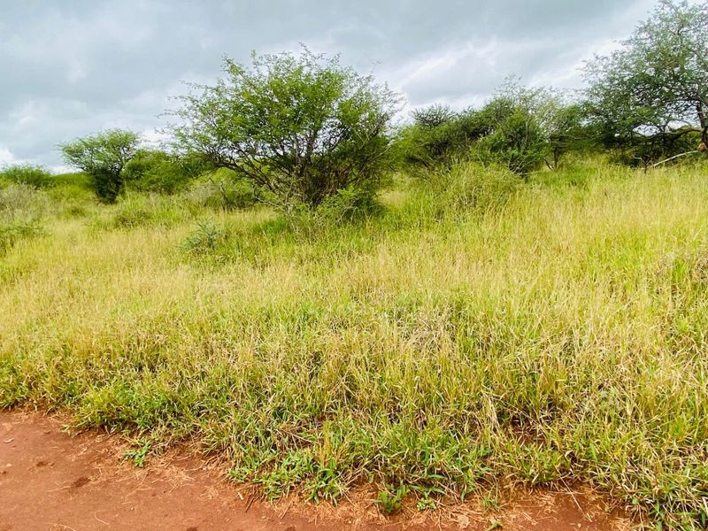 A view of the natural landscape and open veld on the farm property.