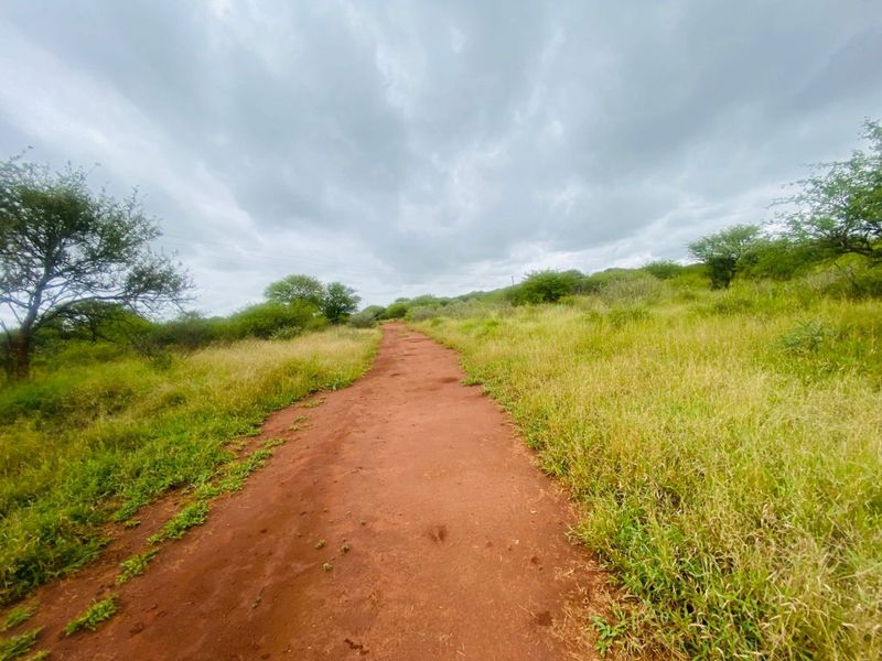 A view of a dirt access road winding through the natural landscape of the farm property.